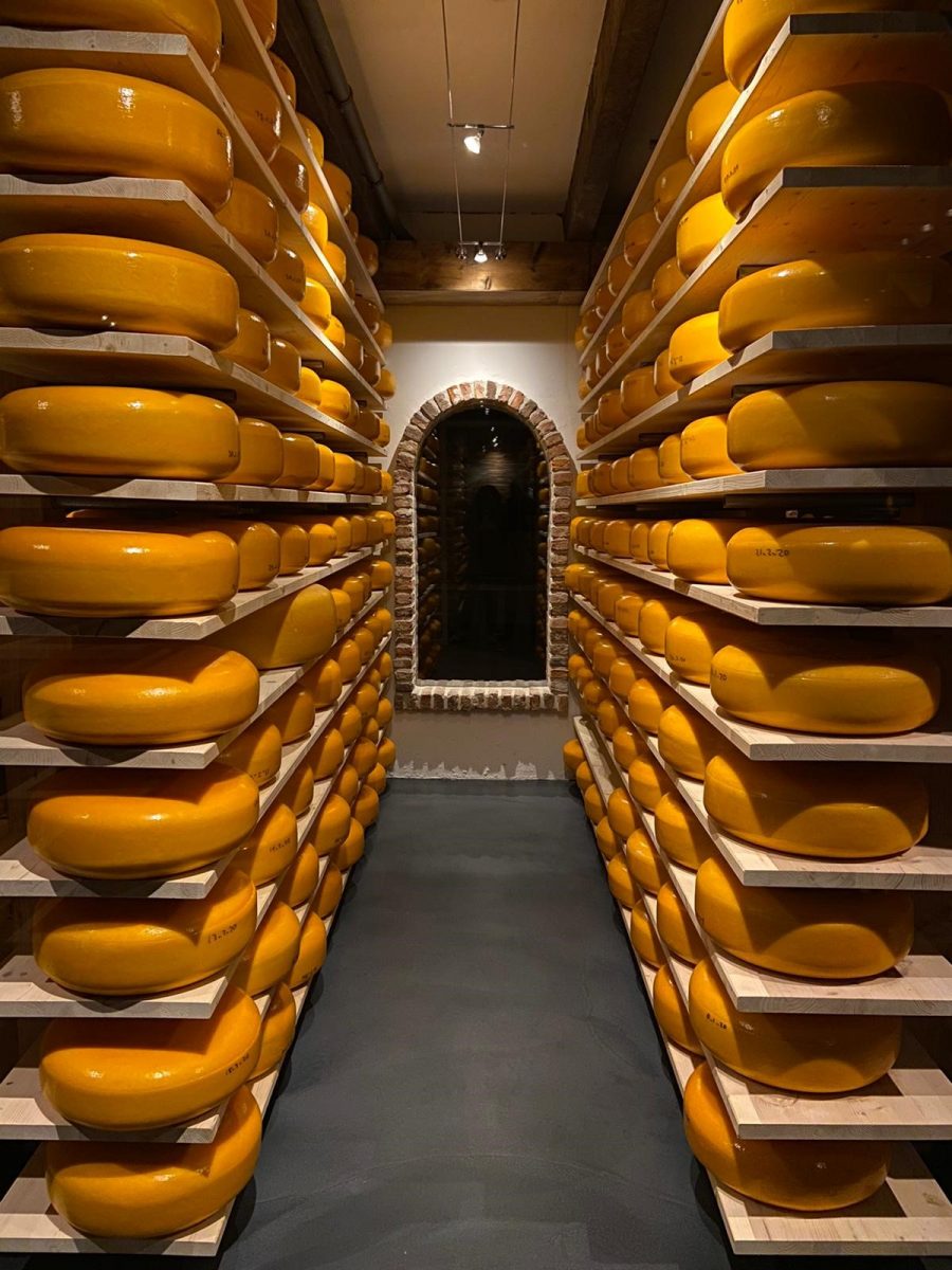 Cheese ripening at the farm
